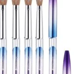 Acrylic Brushes Set – Gradient Handle – SNX Nails