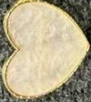 Mixing Plate