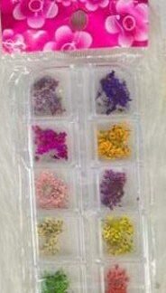 Dry Flowers Palette Strip