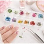 Dry Flowers Palette Strip – SNX Nails
