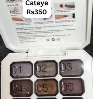 Cateye Pat Painting Gel