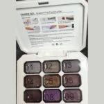 Cateye Pat Painting Gel – SNX Nails