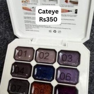 Cateye Pat Painting Gel