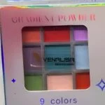 Venalisa 9 Colors Gradient Powder Palette – SNX Nails