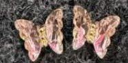 Butterfly Charms Pair 5