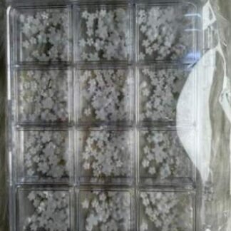 Nail Art White Flower Charms Box