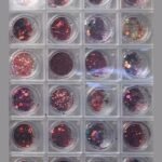 Glitter and Mylars 24-Grid Tray – Red and Burgundy – SNX Nails