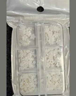 Flowers Pack in Bag