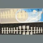 V – Toe White (TW) – SNX Nails