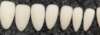 China Tips - 500 nails
