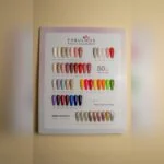 Fabulous Kit: 50 + 5 shades 7.5 ml bottles – SNX Nails