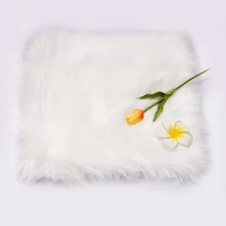 White fur for Photos