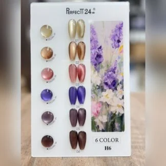 Perfectt 24 Cateye Kit 6 pc H6