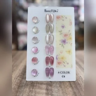 Perfectt 24 Cateye Kit 6 pc Soft Neutral Shades